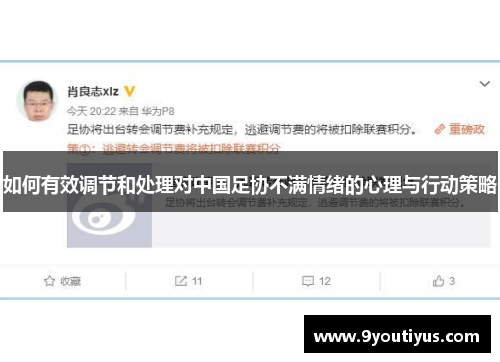 如何有效调节和处理对中国足协不满情绪的心理与行动策略
