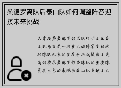 桑德罗离队后泰山队如何调整阵容迎接未来挑战