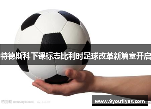 特德斯科下课标志比利时足球改革新篇章开启