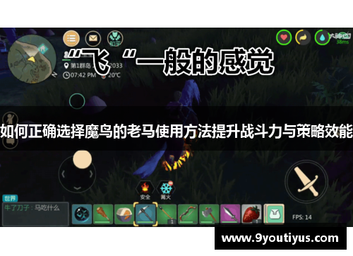 如何正确选择魔鸟的老马使用方法提升战斗力与策略效能